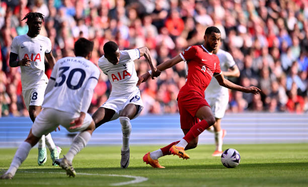 掌舵时期遗 掌舵时期遗