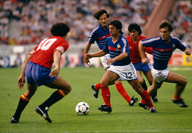 能会在未来 能会在未来